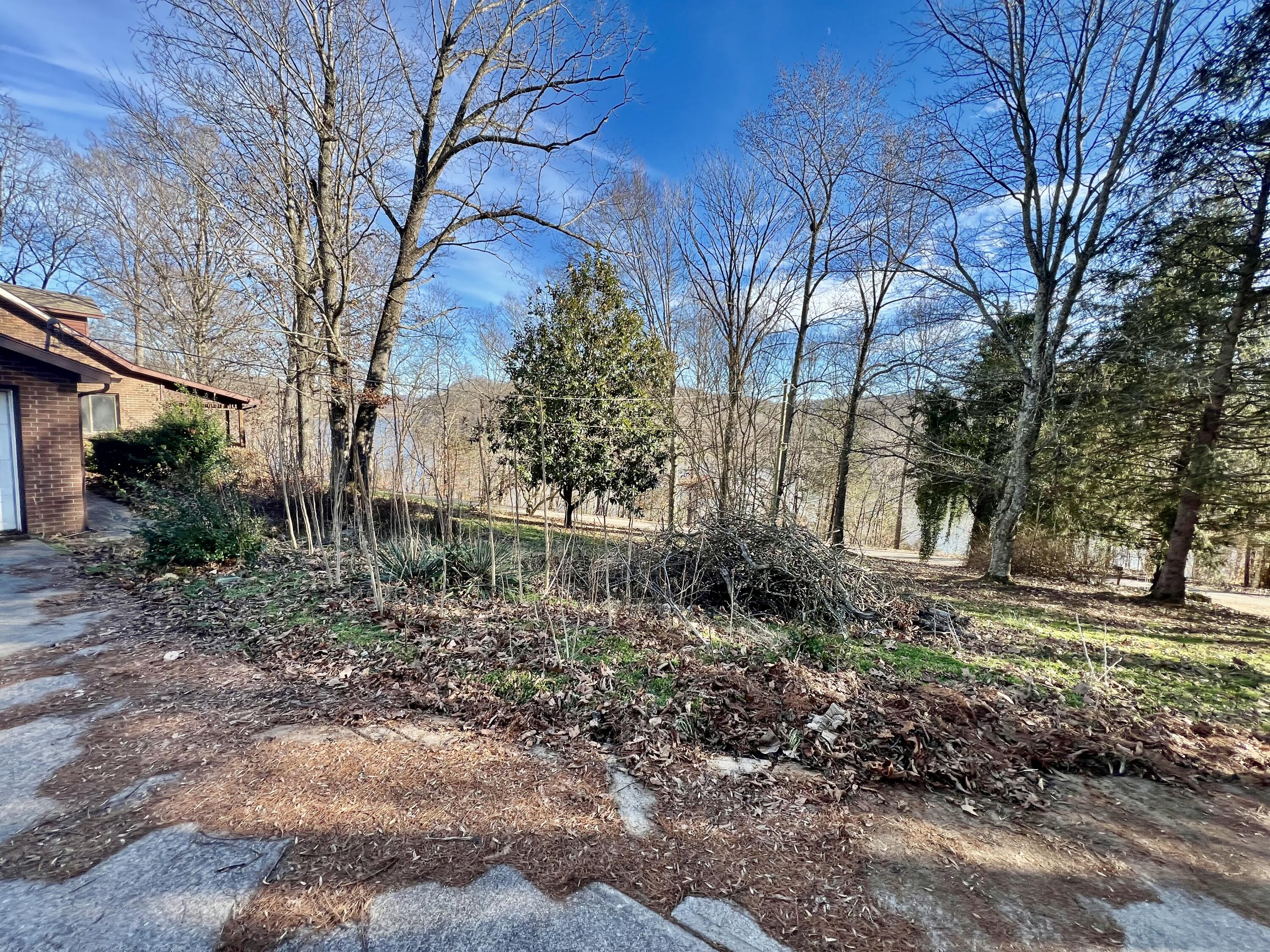 207 Overlake Road Mount Vernon, KY 40456 - Photo 5 of 47 IMG_8885