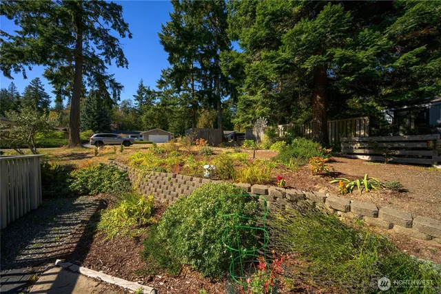 a view of a yard with plants