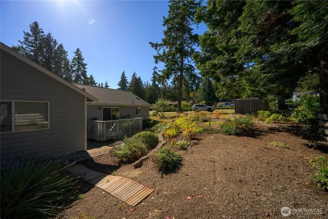 a view of backyard of the house