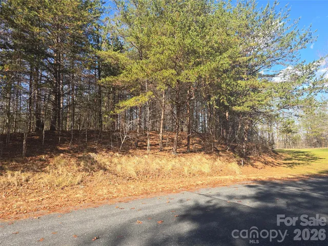 $200,000 | Lot 60 Lake Adger Parkway, Unit 60, Mill Spring, NC 28756