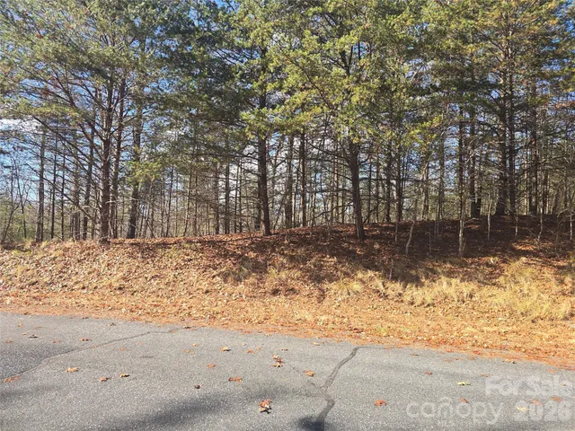 $200,000 | Lot 60 Lake Adger Parkway, Unit 60, Mill Spring, NC 28756