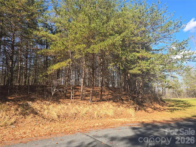 $200,000 | Lot 60 Lake Adger Parkway, Unit 60, Mill Spring, NC 28756