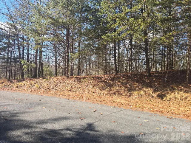 $200,000 | Lot 60 Lake Adger Parkway, Unit 60, Mill Spring, NC 28756