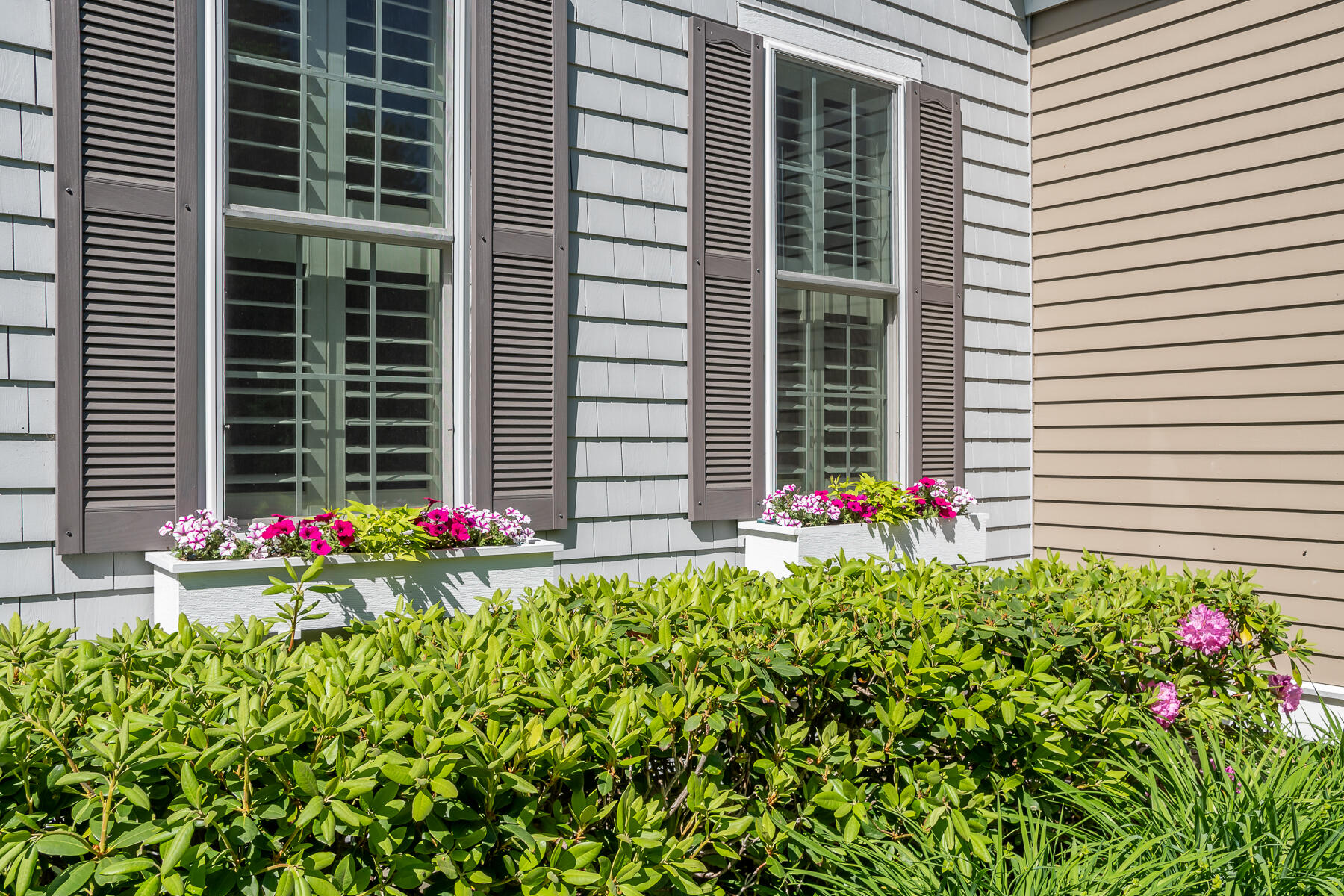 70 Brookside Road Bourne, MA 02532 - Photo 29 of 32 a flower plants in front of a house