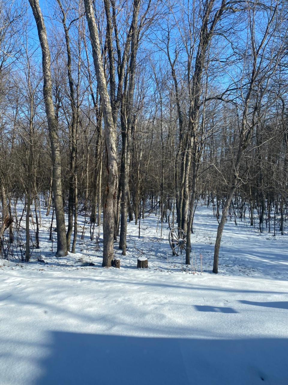 N4604 Carter Road Bryant, WI 54418 - Photo 10 of 31 Gallery Image 10