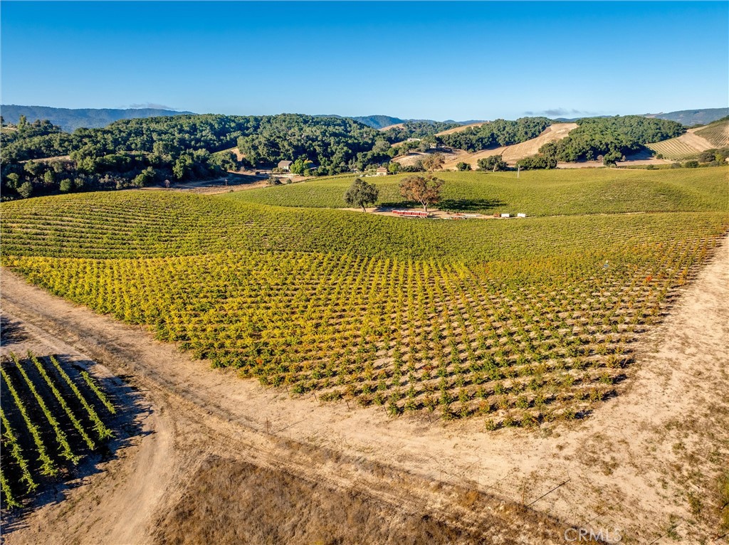 3000 Oakdale Road Paso Robles, CA 93446 - Photo 14 of 26 Aerial from north eastern corner of Petite Sirah block