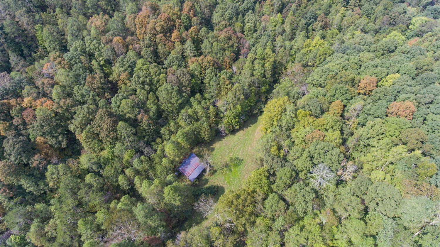 1 Barnett Valley Road Livingston, KY 40445 - Photo 12 of 27 Listing Photo