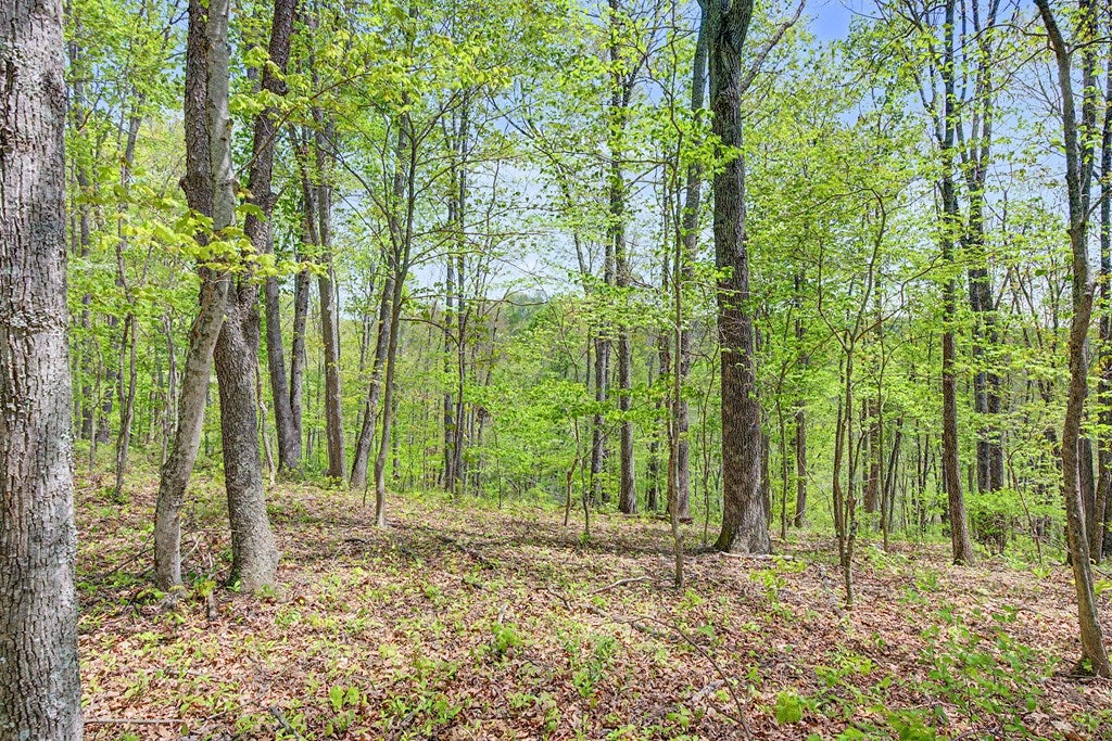 805 Sunset River Road Ceres, VA 24318 - Photo 54 of 77 Gallery Image 54