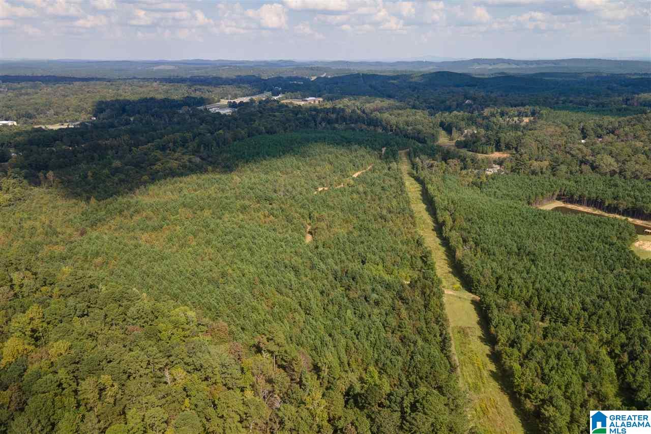 8967 Highway 55, Unit 2 & 3 Sterrett, AL 35147 - Photo 2 of 23