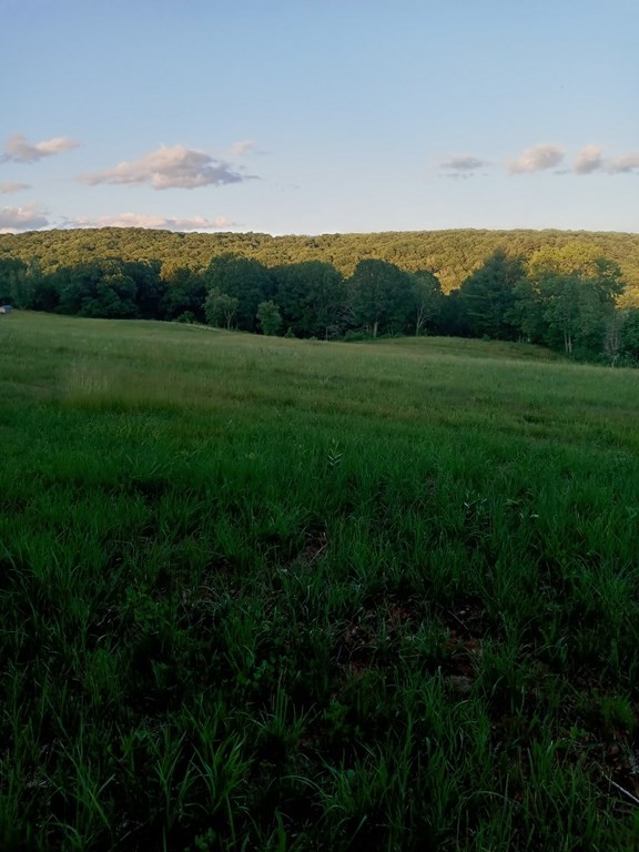 Lot 1 Mountain Road Holyoke, MA 01040 - Photo 8 of 39 Gallery Image 8