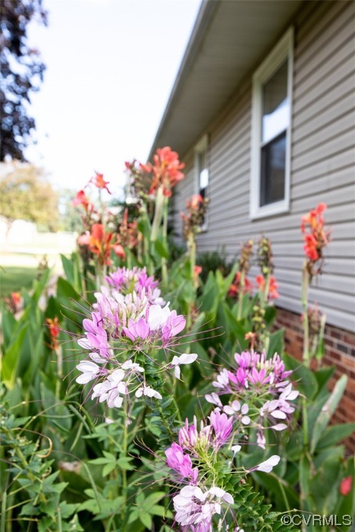 3384 Rice Creek Road Farmville, VA 23901 - Photo 4 of 50 a view of a flower