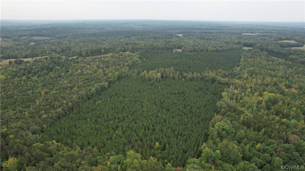 3384 Rice Creek Road Farmville, VA 23901 - Photo 48 of 50 a view of a field with an ocean