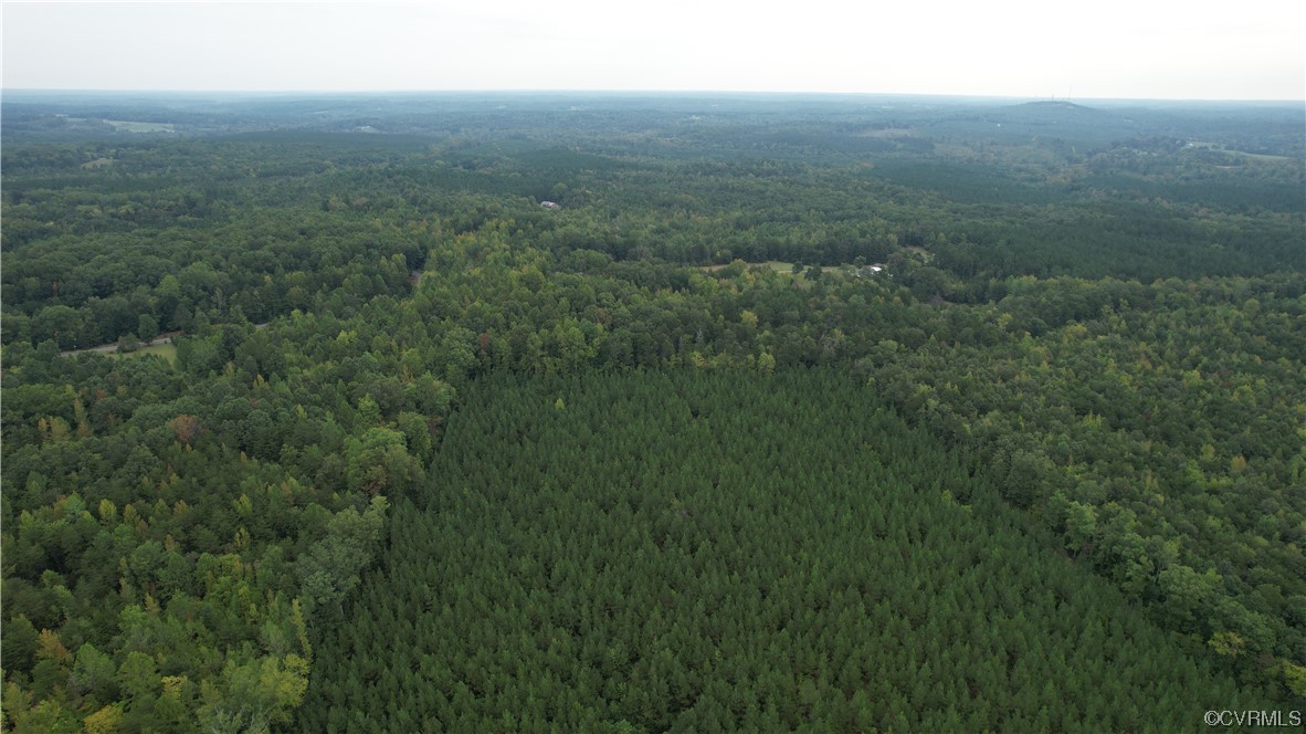 3384 Rice Creek Road Farmville, VA 23901 - Photo 49 of 50 a view of a big yard and mountain view