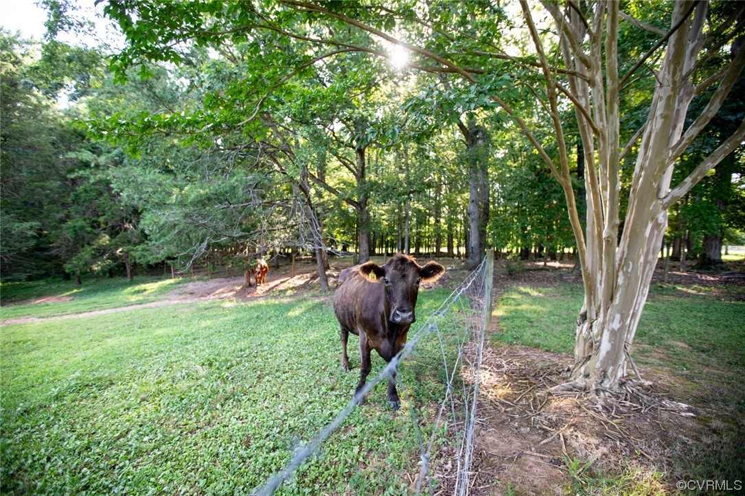 3384 Rice Creek Road Farmville, VA 23901 - Photo 50 of 50 a view of a garden