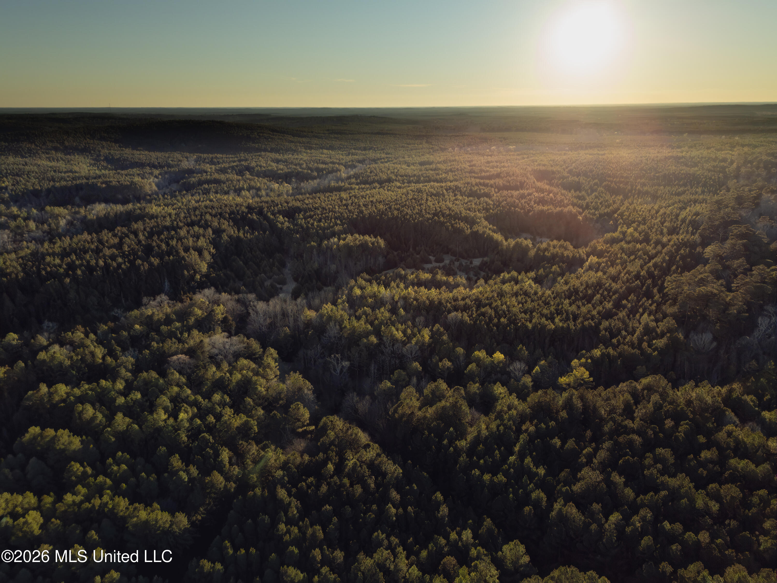 2414 County Road Newton, MS 39345 - Photo 13 of 40 DJI_20260223172453_0057_D