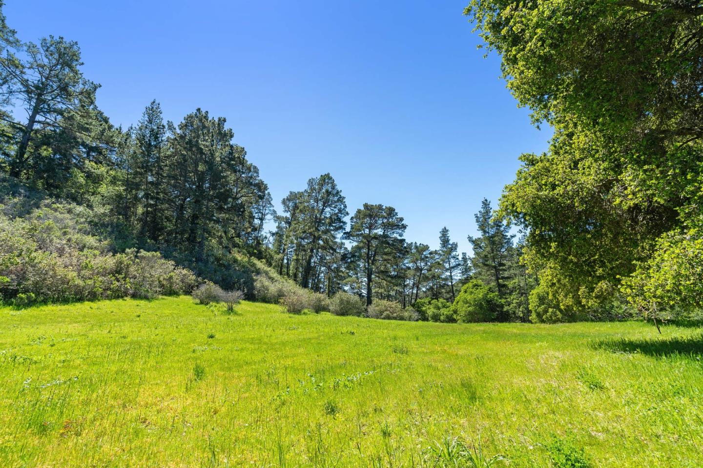 a view of yard with green space