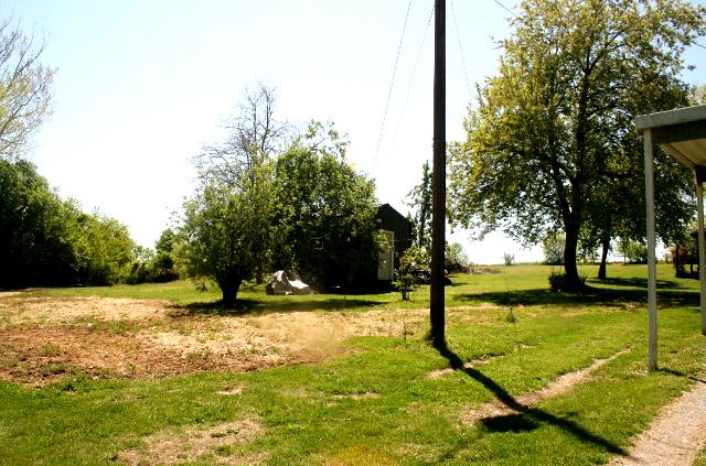 285 Smith Mill Road Fayetteville, TN 37334 - Photo 17 of 18 View of yard by carport. Additional storage building.
