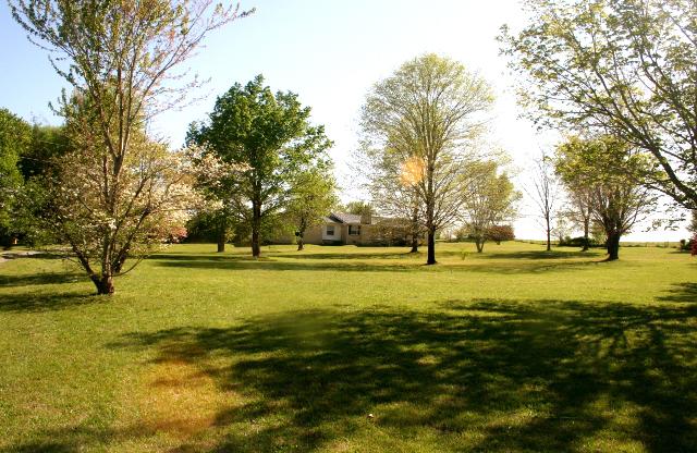 285 Smith Mill Road Fayetteville, TN 37334 - Photo 18 of 18 View of the front yard looking off porch.