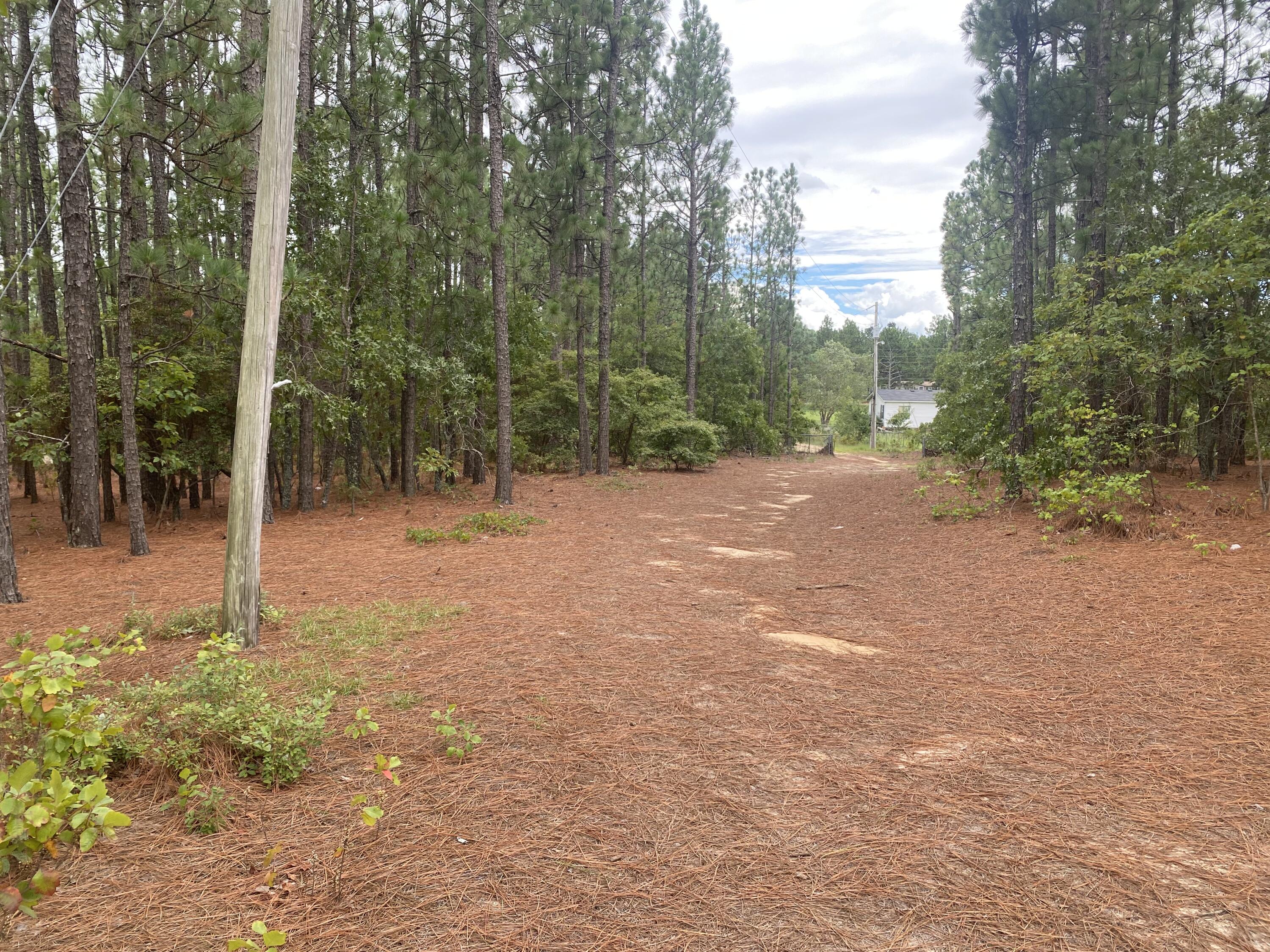 134 Mt Zion Road Graniteville, SC 29829 - Photo 3 of 7