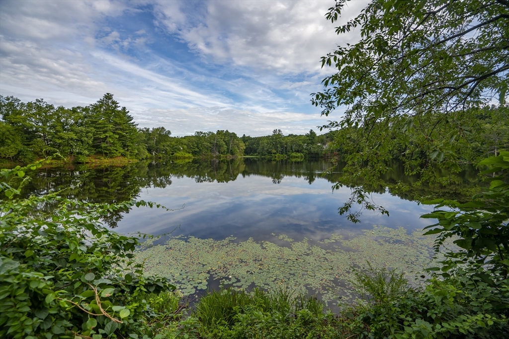 15 Beacon Street Amesbury, MA 01913 - Photo 28 of 41 a view of small yard with large trees