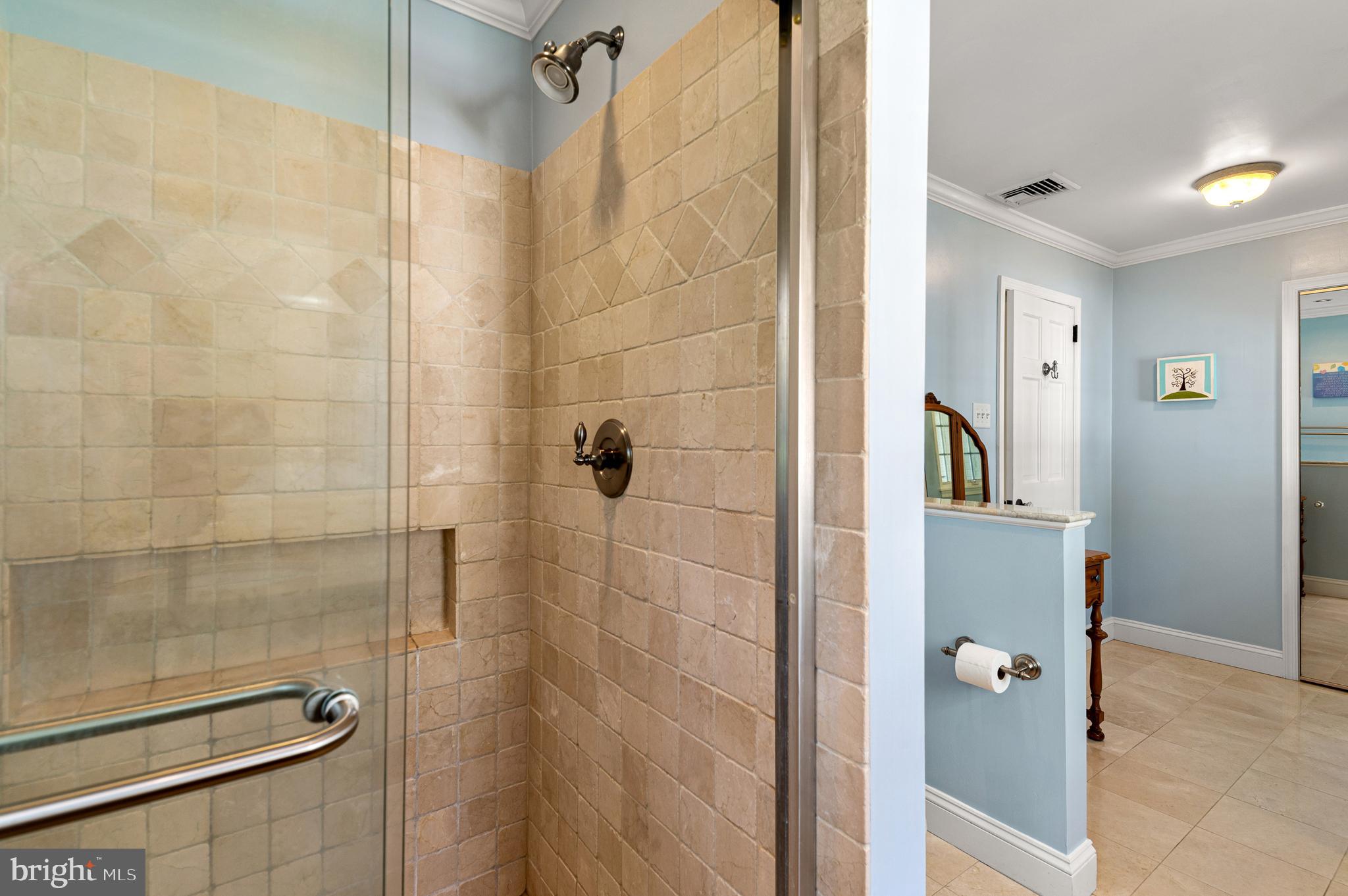 654 Andover Road Newtown Square, PA 19073 - Photo 28 of 47 Primary Shower