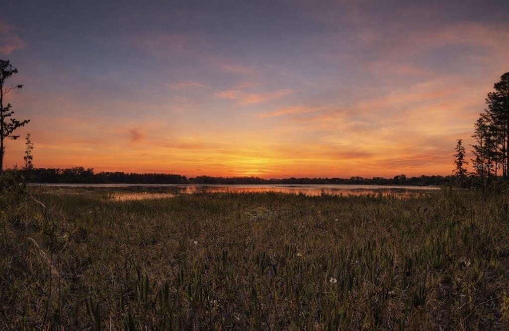 8335 Florida Boys Ranch Road Groveland, FL 34736 - Photo 1 of 11