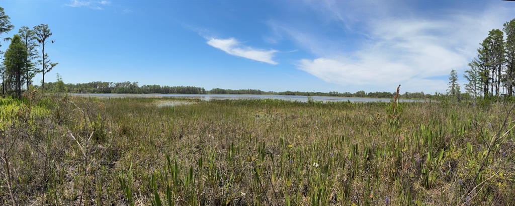 8335 Florida Boys Ranch Road Groveland, FL 34736 - Photo 11 of 11