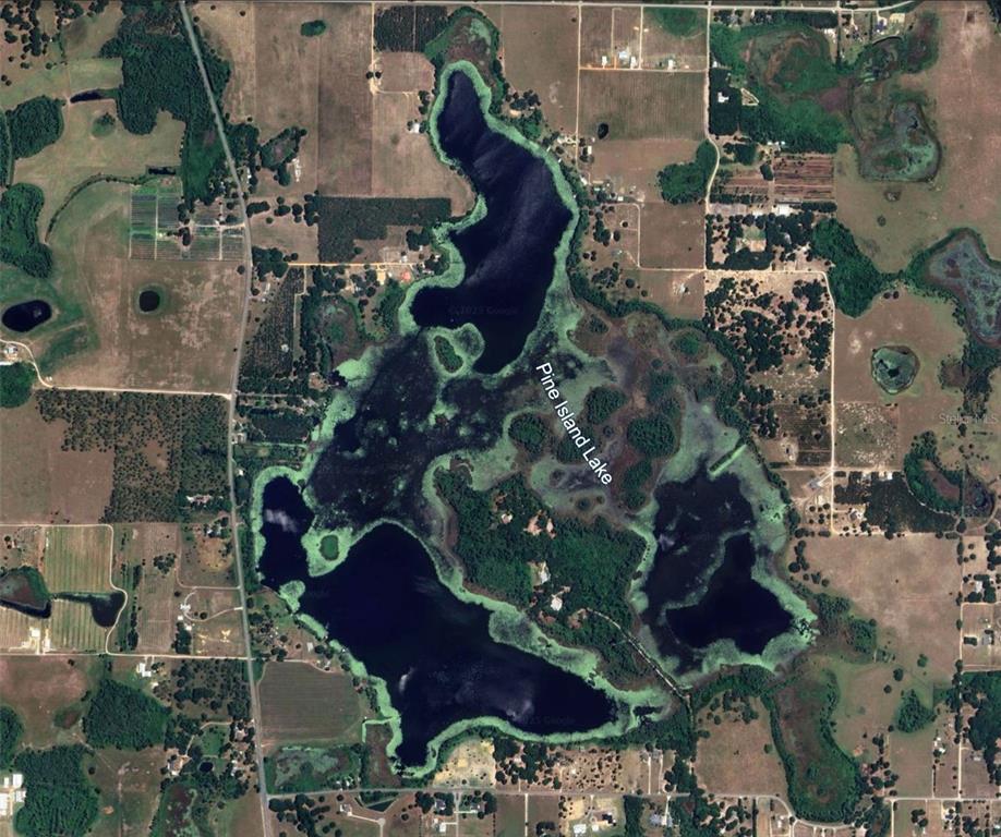 8335 Florida Boys Ranch Road Groveland, FL 34736 - Photo 3 of 11