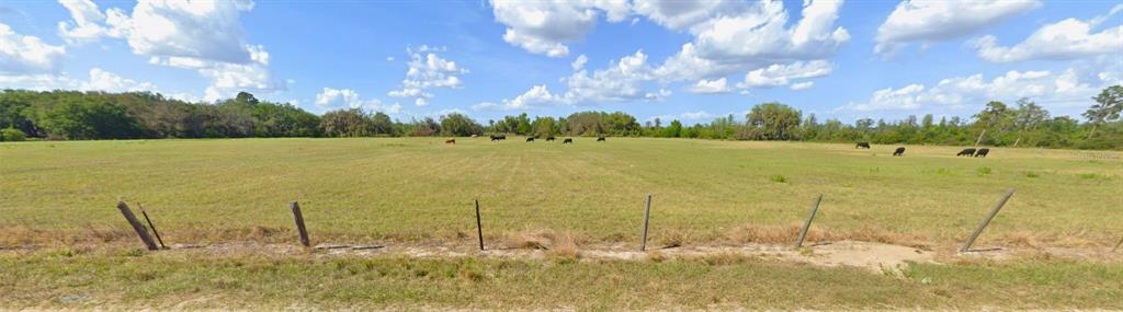 8335 Florida Boys Ranch Road Groveland, FL 34736 - Photo 6 of 11