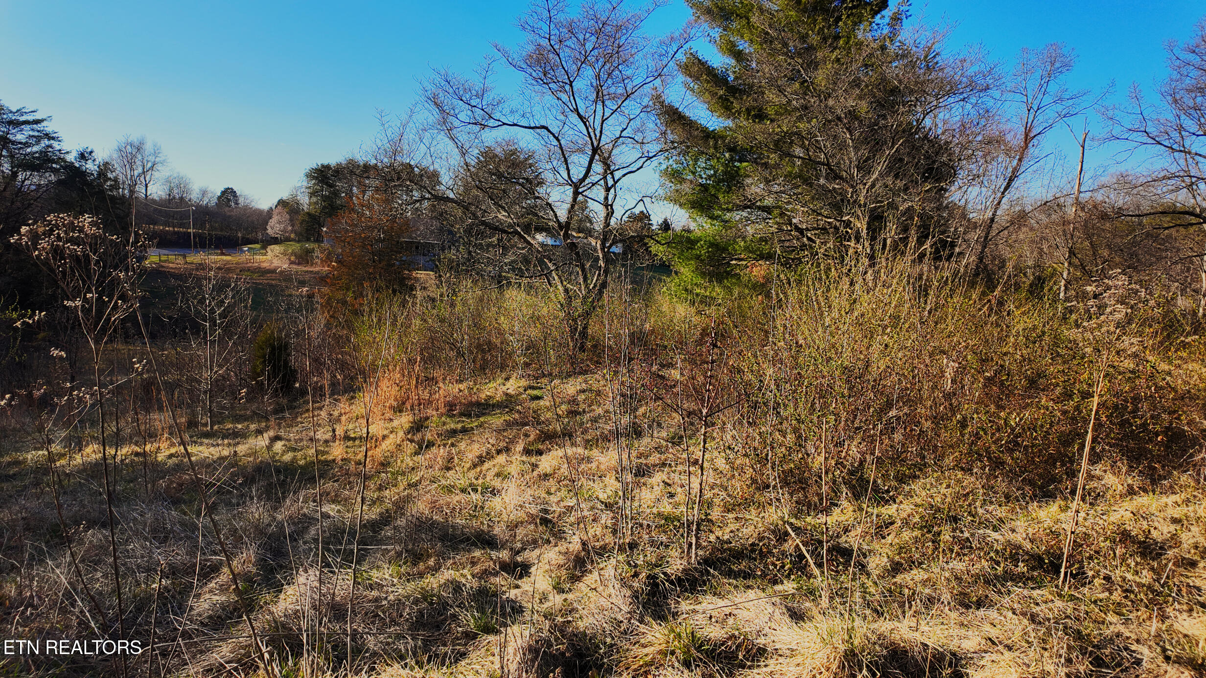 612 Peach Orchard Road Clinton, TN 37716 - Photo 5 of 18 IMG_3248