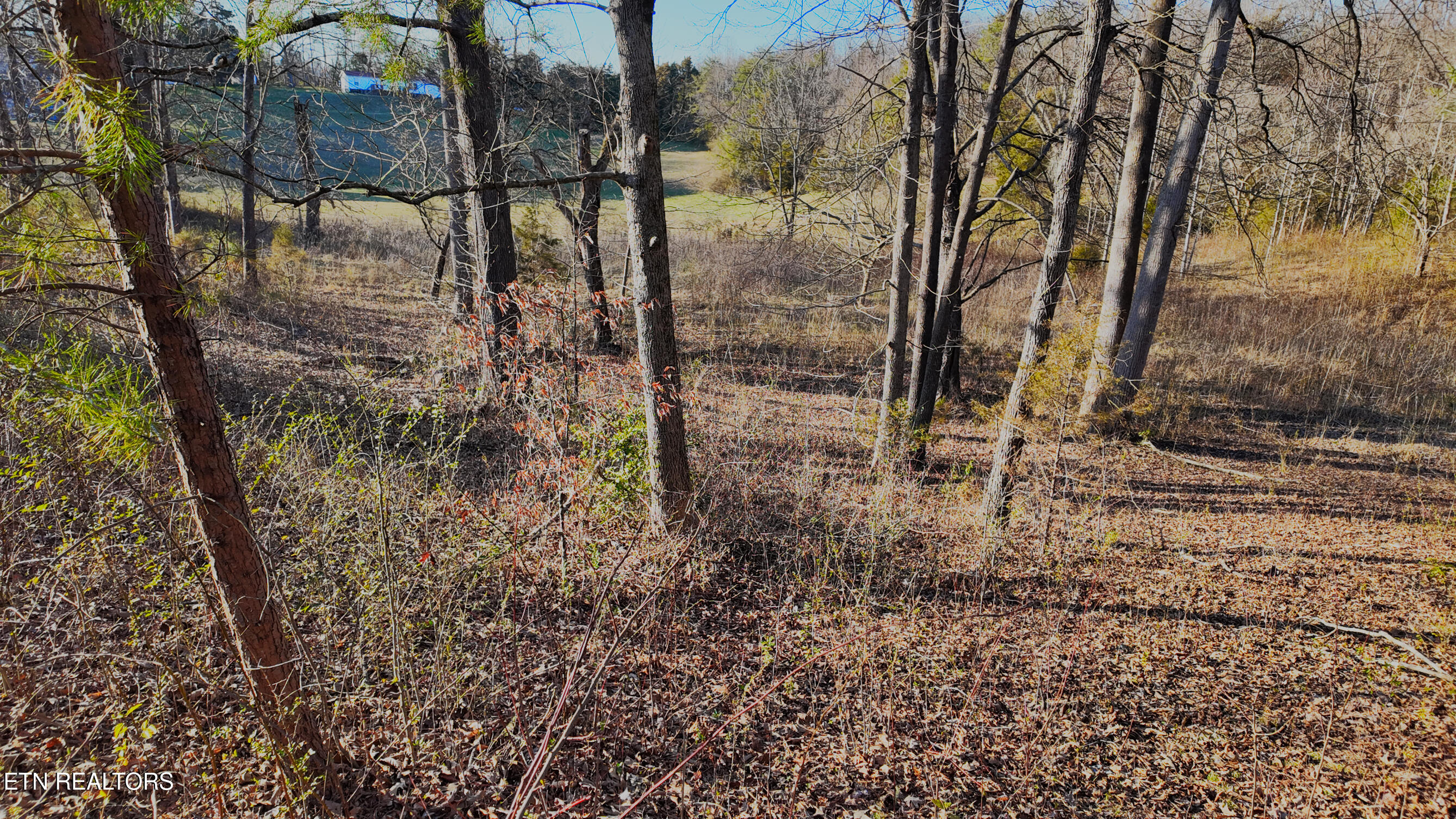 612 Peach Orchard Road Clinton, TN 37716 - Photo 6 of 18 IMG_3251