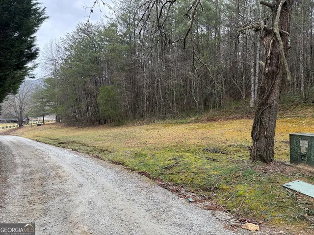 $39,900 | Lot 9 Ideal Acres, Otto, NC 28763
