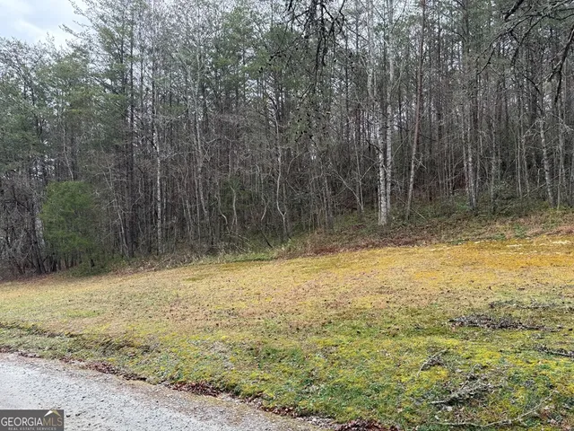 $39,900 | Lot 9 Ideal Acres, Otto, NC 28763