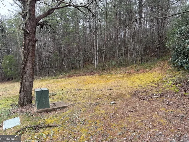$39,900 | Lot 9 Ideal Acres, Otto, NC 28763
