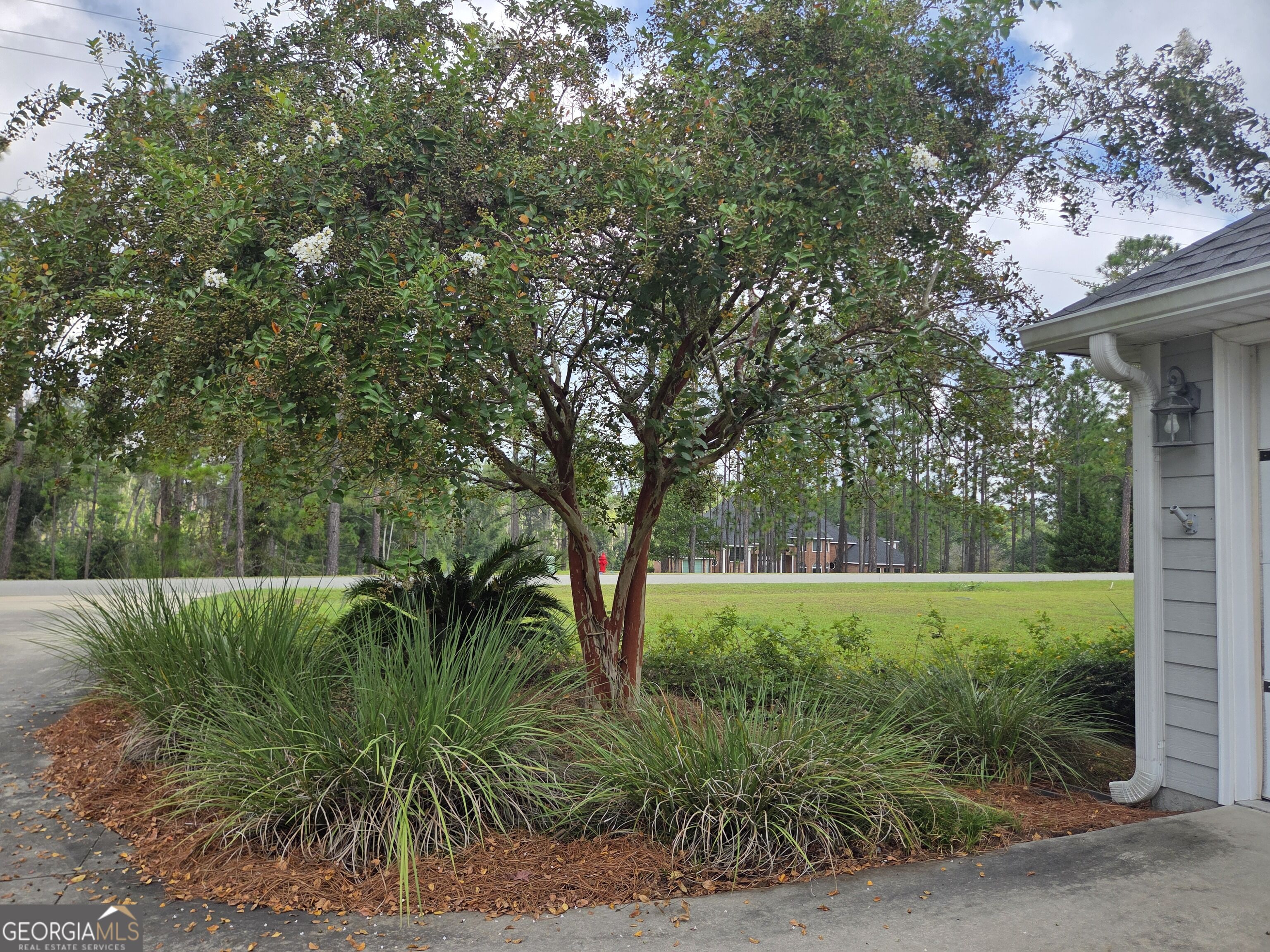 439 Bob Sharpe Road Vidalia, GA 30474 - Photo 6 of 86 Gallery Image 6