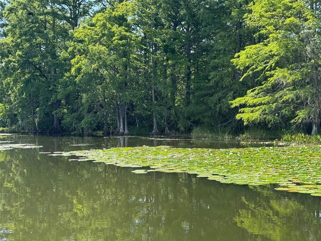 Creek Road Leesburg, FL 34788 - Photo 11 of 19 a view of a lake view