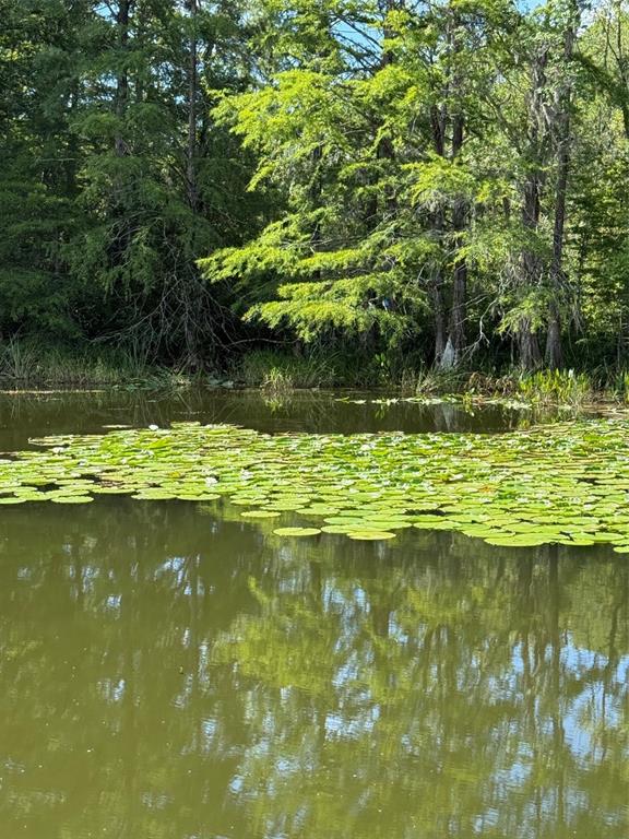 Creek Road Leesburg, FL 34788 - Photo 13 of 19 a view of a lake view