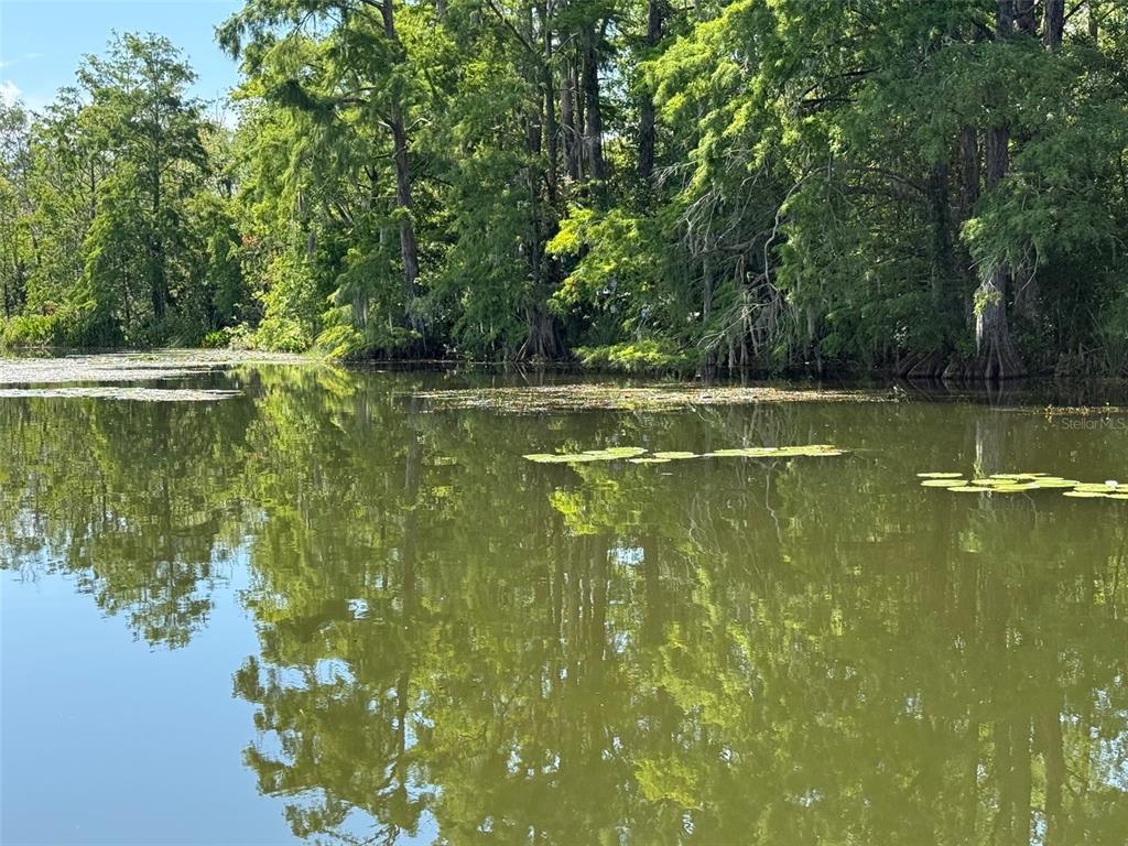 Creek Road Leesburg, FL 34788 - Photo 14 of 19 a view of a lake view