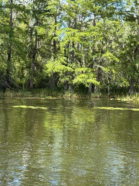 Creek Road Leesburg, FL 34788 - Photo 15 of 19 a view of a ocean view