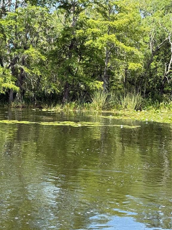 Creek Road Leesburg, FL 34788 - Photo 16 of 19 a view of a ocean view