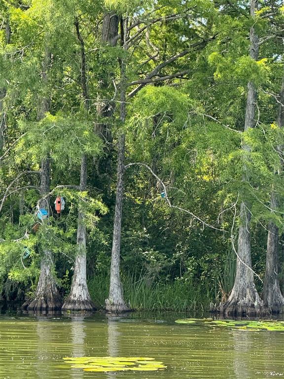 Creek Road Leesburg, FL 34788 - Photo 17 of 19 a view of a swimming pool with a garden