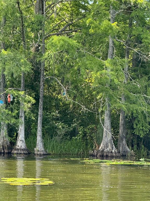 Creek Road Leesburg, FL 34788 - Photo 18 of 19 a view of outdoor space with swimming pool and lake view