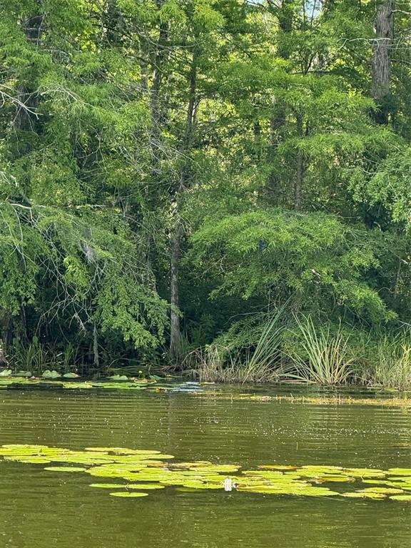 Creek Road Leesburg, FL 34788 - Photo 19 of 19 a view of a large body of water with a lake view