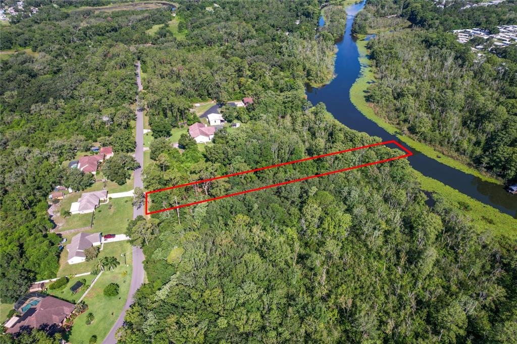 Creek Road Leesburg, FL 34788 - Photo 5 of 19 a view of a flower arrangement in a garden