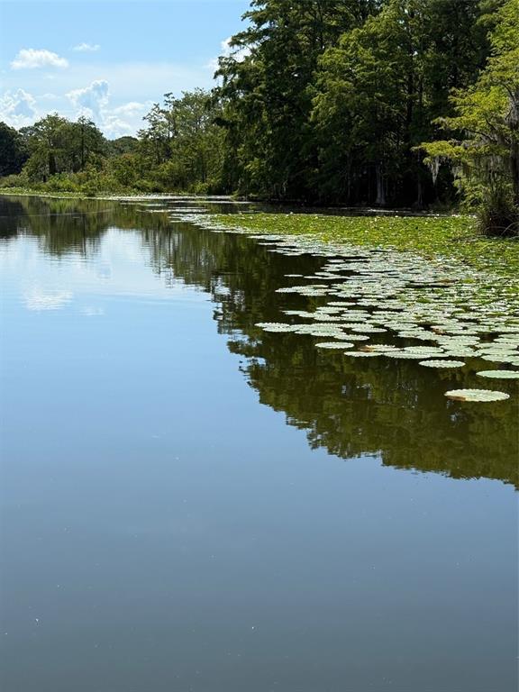 Creek Road Leesburg, FL 34788 - Photo 8 of 19 a view of a lake view