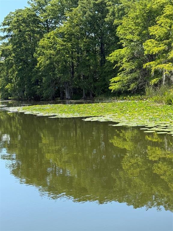Creek Road Leesburg, FL 34788 - Photo 9 of 19 a view of a lake view