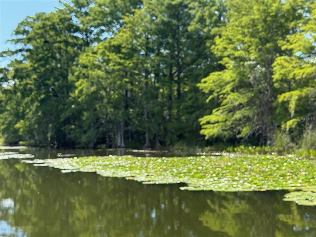 Creek Road Leesburg, FL 34788 - Photo 10 of 19 a view of swimming pool with a yard