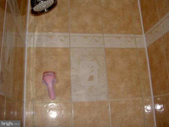 10765 Lester Street Silver Spring, MD 20902 - Photo 11 of 22 lower level shower