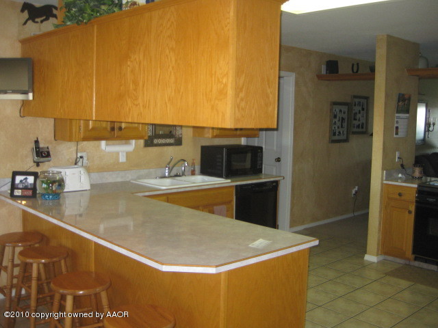 8707 South Blessen Road Amarillo, TX 79119 - Photo 7 of 28 Kitchen