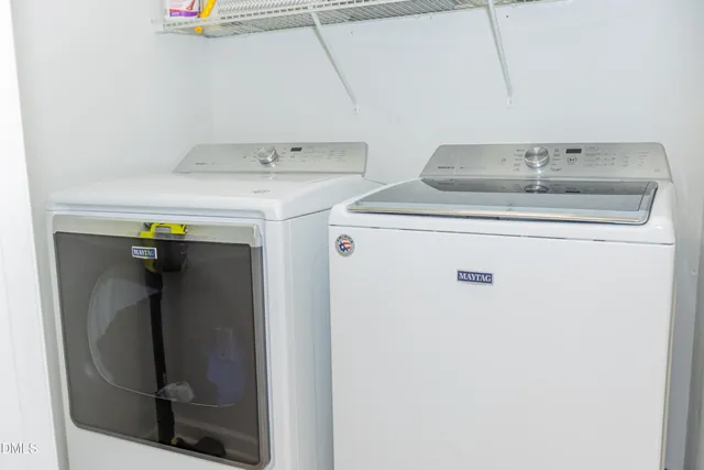 a view of a yard with plants and trees